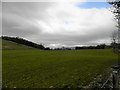 Field on edge of A85 near Loch Monzievaird