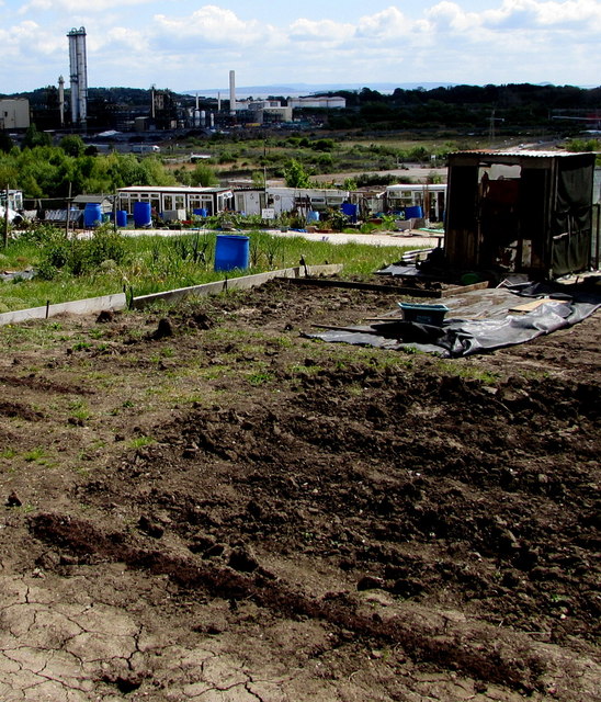 Wilfred Street side of allotments, Barry © Jaggery :: Geograph Britain ...