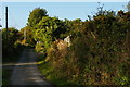 Lane, Y Garn, above Newport