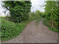 Footpath from Guise Lane