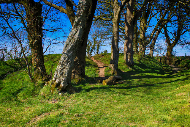 Lisnabreeny Rath (National Trust site)