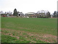 Winter cereals at South Ardbennie