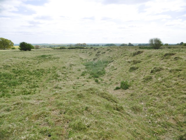 Woodcutts Common, ditch
