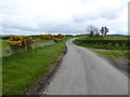 Magheralough Road, Magheralough