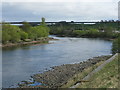 River Tay south of Friarton (or Moncreiffe) Island