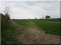 Footpath at Woodend Green