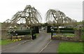 Weeping willows at the entrance to Comber Cemetery