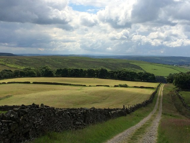 Fields and farm track above Walshaw
