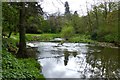 The River Esk 