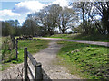 Teversal - Silverhill Trail to NE of Fackley Road bridge