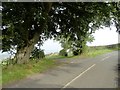 Footpath off Inkerman Road