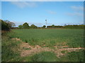 Crop field off Sladbury