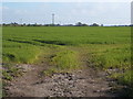 TM2019 : Crop field, Great Holland by JThomas