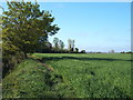 Crop field near Lodge Farm