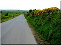 H3181 : Magheracreggan Road, Derrygoon by Kenneth  Allen