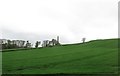 Farmland between the A22 and Shrigley