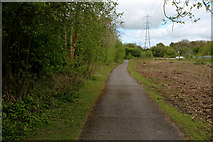 SE4446 : Cycle Route No. 665 at Thorp Arch by Chris Heaton