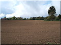 Field towards Sneating Hall