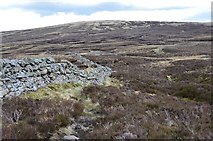NT1716 : Path by the wall near Loch Skene by Jim Barton