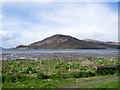 NN1076 : Low wall and vegetation at shore of Loch Linnhe by Trevor Littlewood