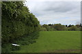 Field and Hedgerow above Firgreen Beck