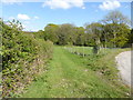 Grassy track goes east from Balcombe Lane