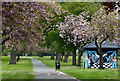 Path through Braunstone Park