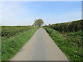 Road near Crosby Court Grange