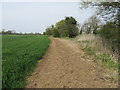 Bridleway beside Cod Beck