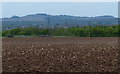 Farmland on the edge of Kirby Fields, Leicester