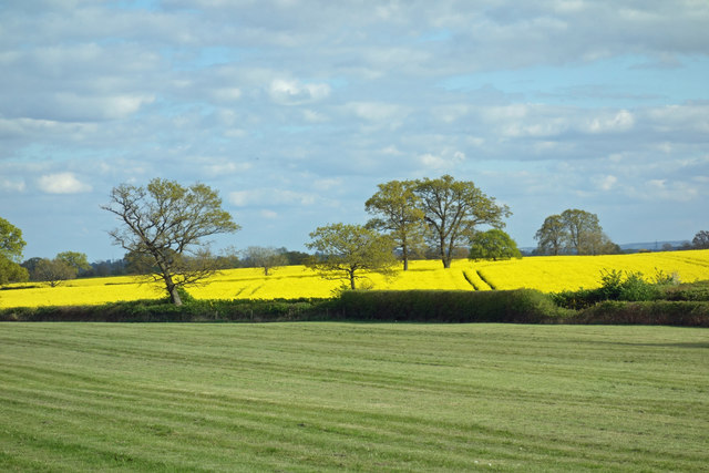 Farmland near Lower Farm