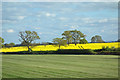 Farmland near Lower Farm