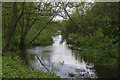 St Helens Canal at Blackbrook