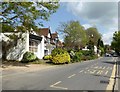 Gomshall Lane, Shere