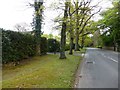 Echo Barn Lane, Wrecclesham