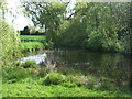 Pond, Bradfield St. George