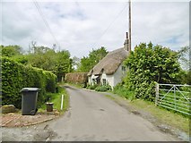 SY8894 : Bloxworth, thatched cottage by Mike Faherty