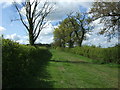 Farm track (footpath) off Felsham Road