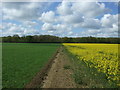 Footpath towards Monkspark Wood