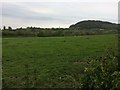 Field below Tyndale Monument