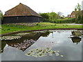 Village pond at Wisborough Green