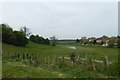 Water meadow in Aberford