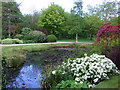 Pond, Cock Farm, Brettenham