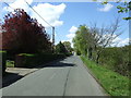 The Street, Brettenham