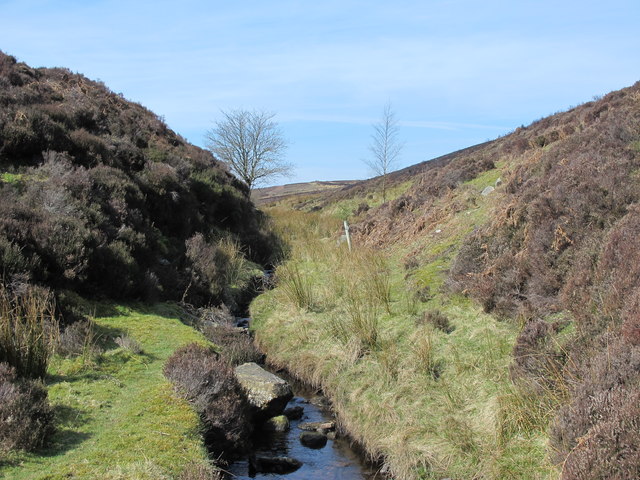 The cleugh of Lawsley Sike (2)