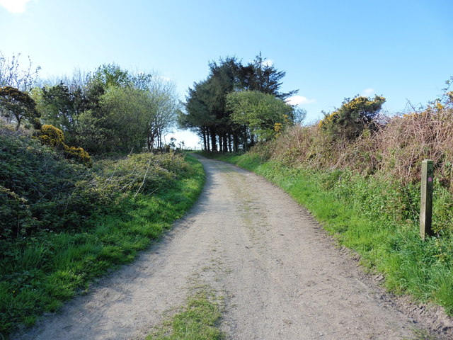 The Saints' Way by Crift Downs