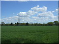 Crop field and power lines