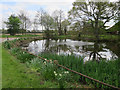 Pond at Swan Farm