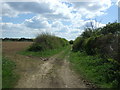 Farm track, Green Farm