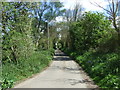 Mill Lane, Thorington Street